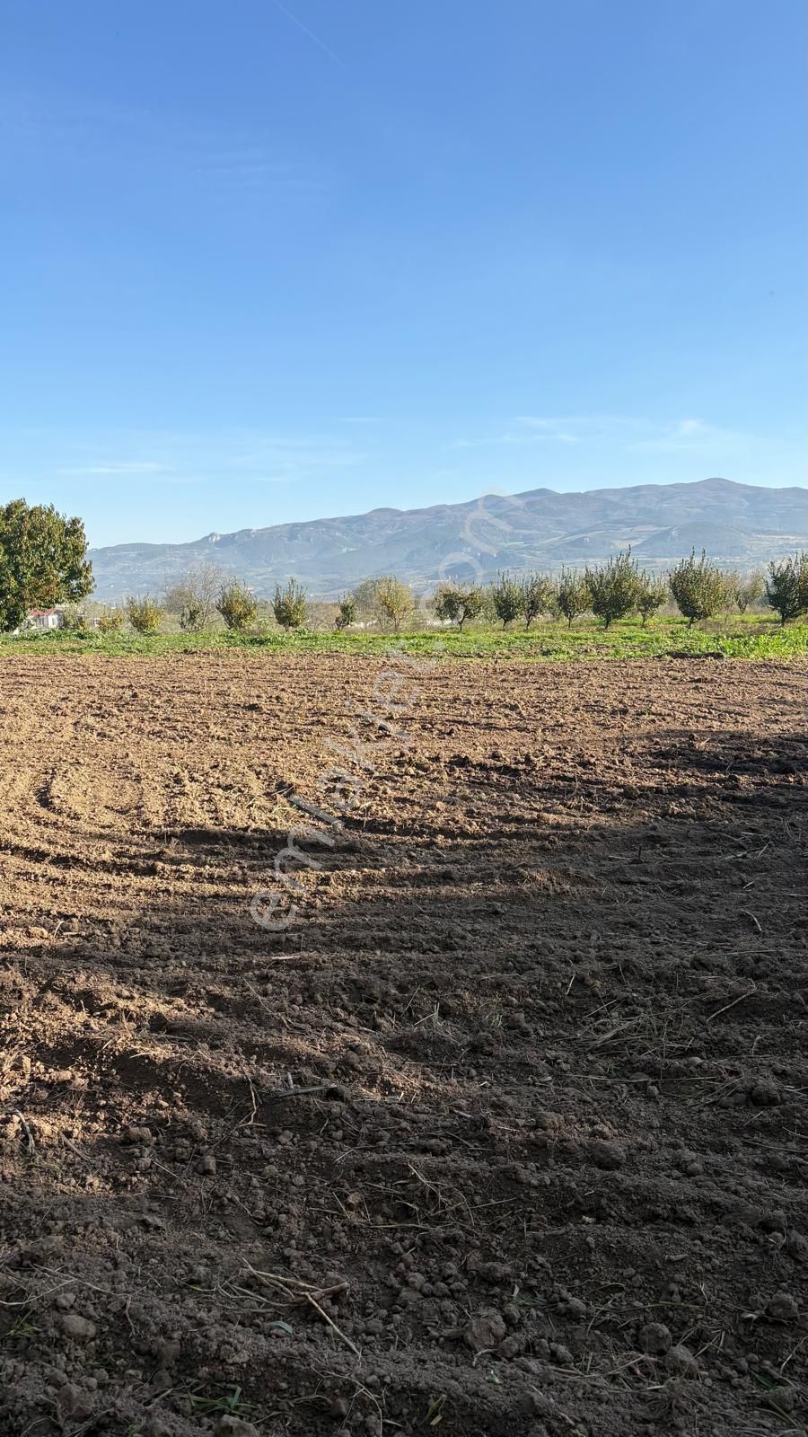 Sakarya Da Yatırım Fırsatı - Görsel 6