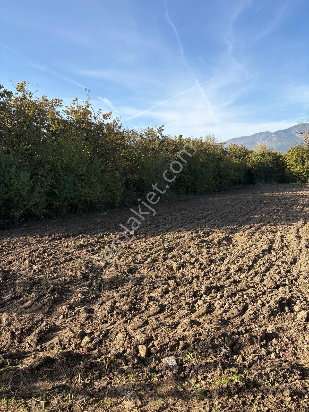 Sakarya Da Yatırım Fırsatı