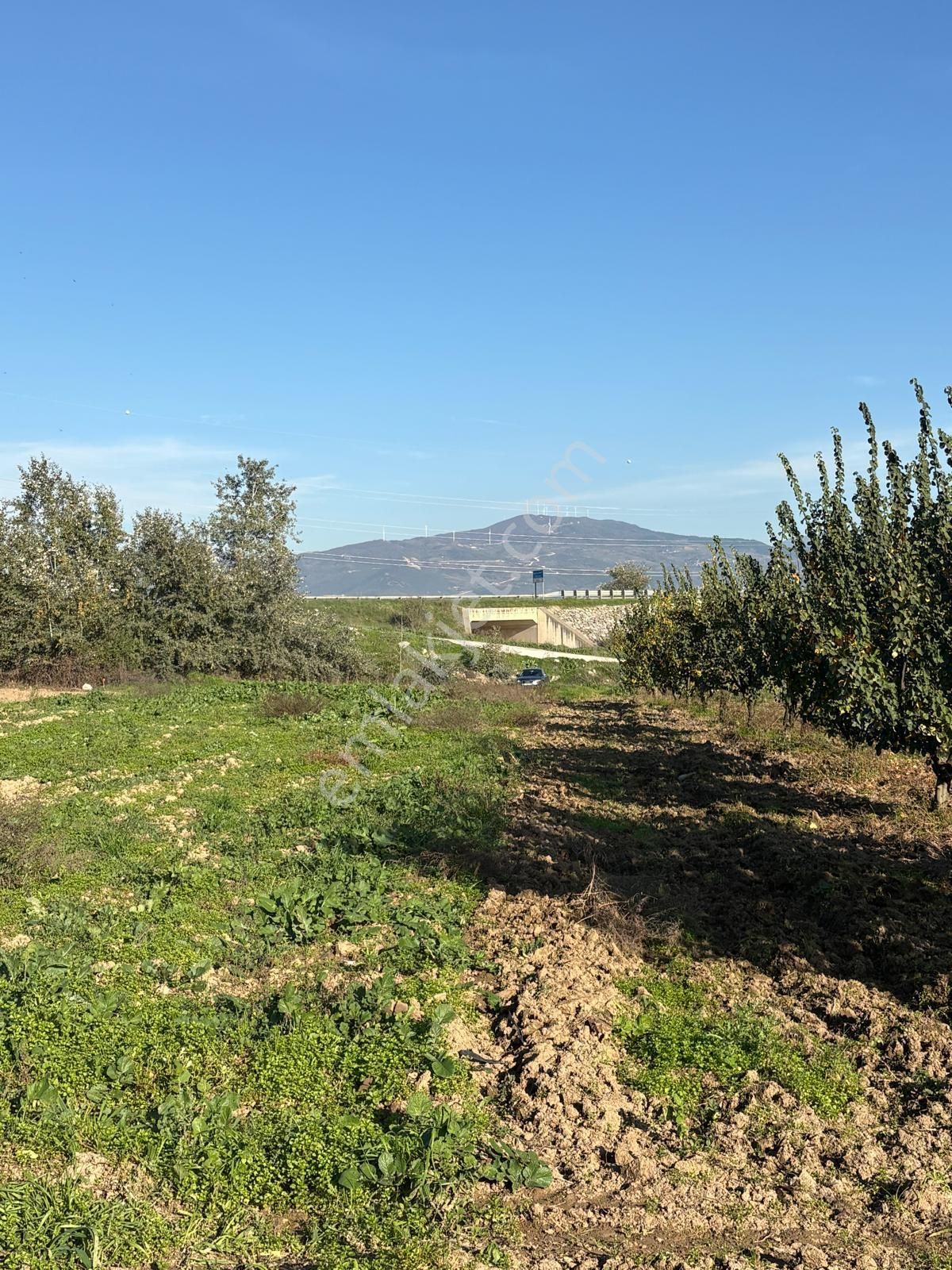 Sakarya Da Yatırım Fırsatı - Görsel 4