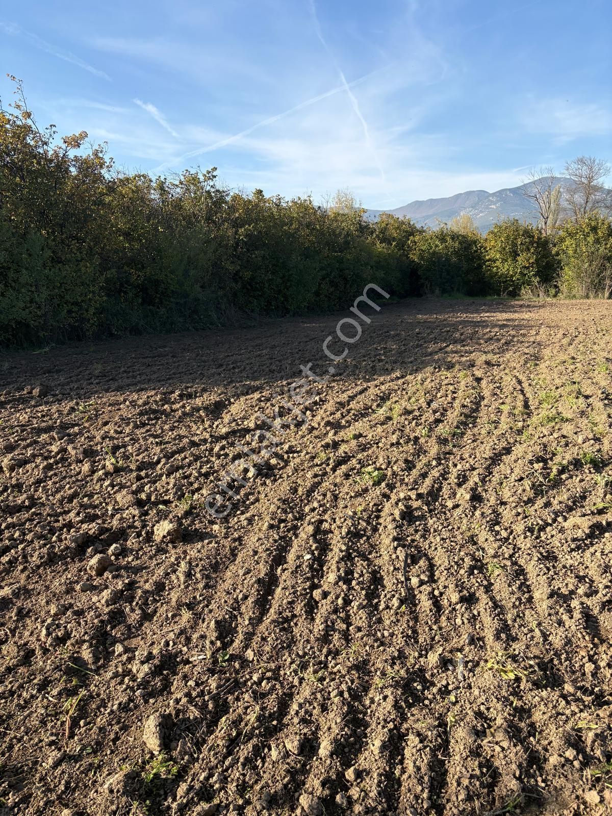 Sakarya Da Yatırım Fırsatı - Görsel 3