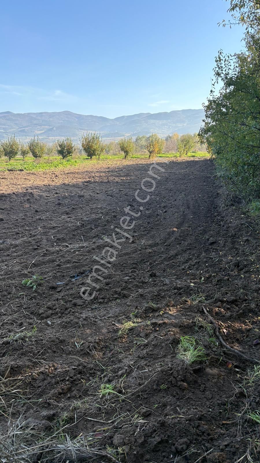 Sakarya Da Yatırım Fırsatı - Görsel 2