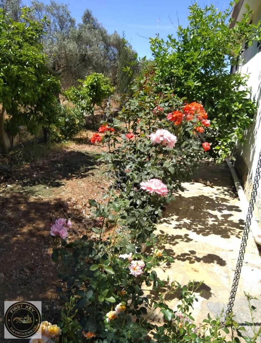 Bodrum Mumcular'da İçerisinde Numaratajlı Evi Olan Satılık Tarla - Görsel 13