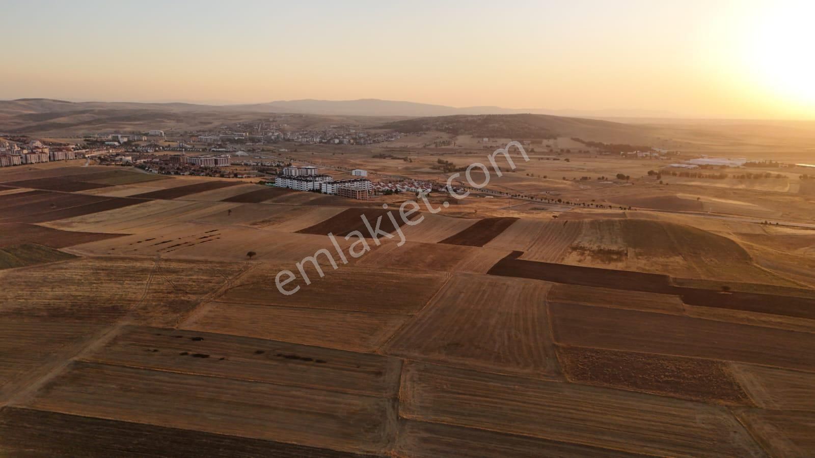 Gazlıgöl Yaylabağı Bld 6300 M² Satılık Tarla! - Görsel 6