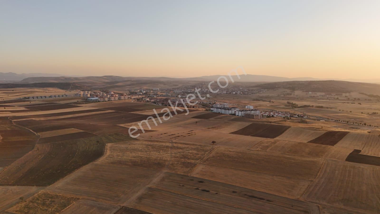 Gazlıgöl Yaylabağı Bld 6300 M² Satılık Tarla! - Görsel 5