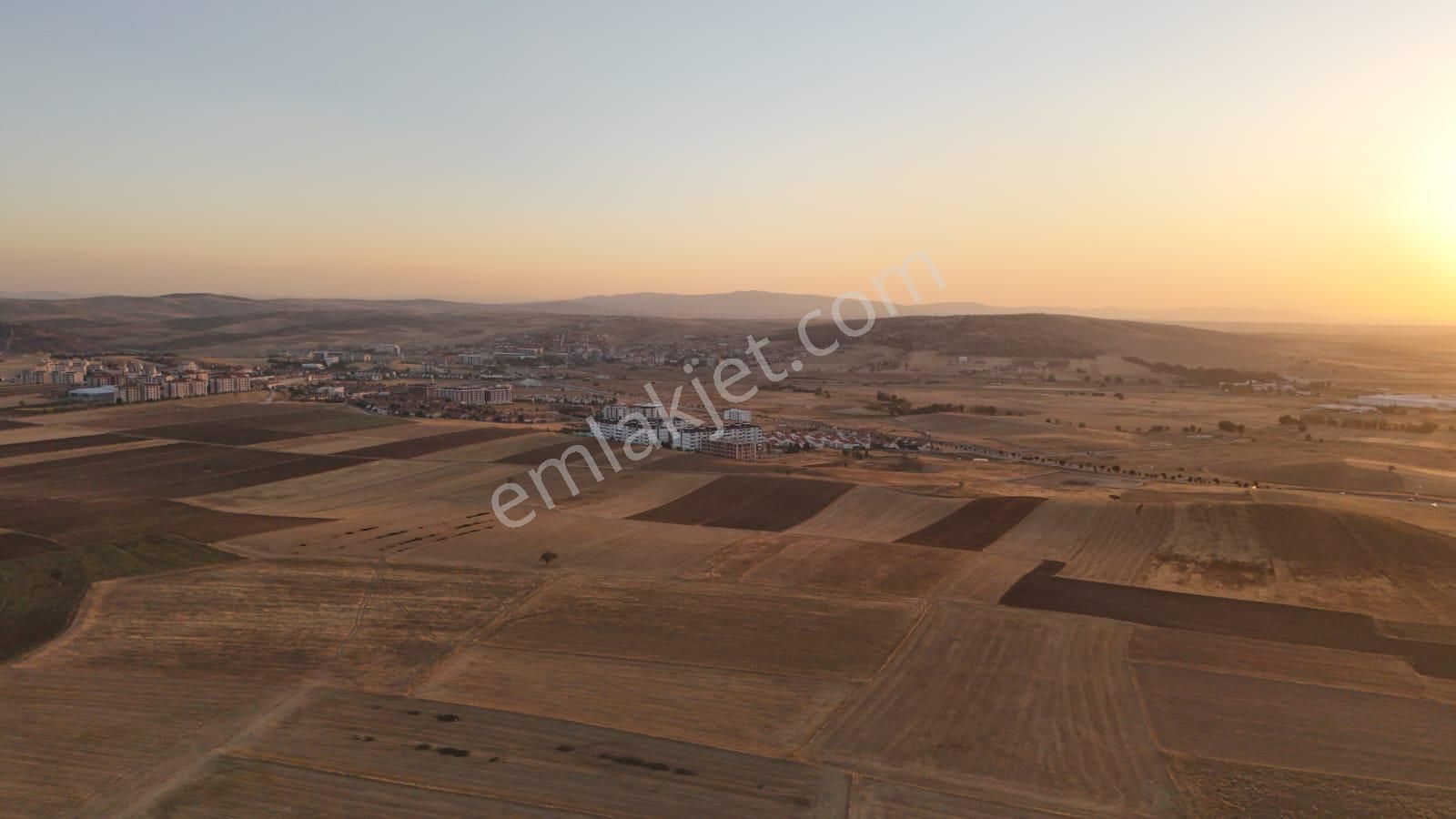 Gazlıgöl Yaylabağı Bld 6300 M² Satılık Tarla!