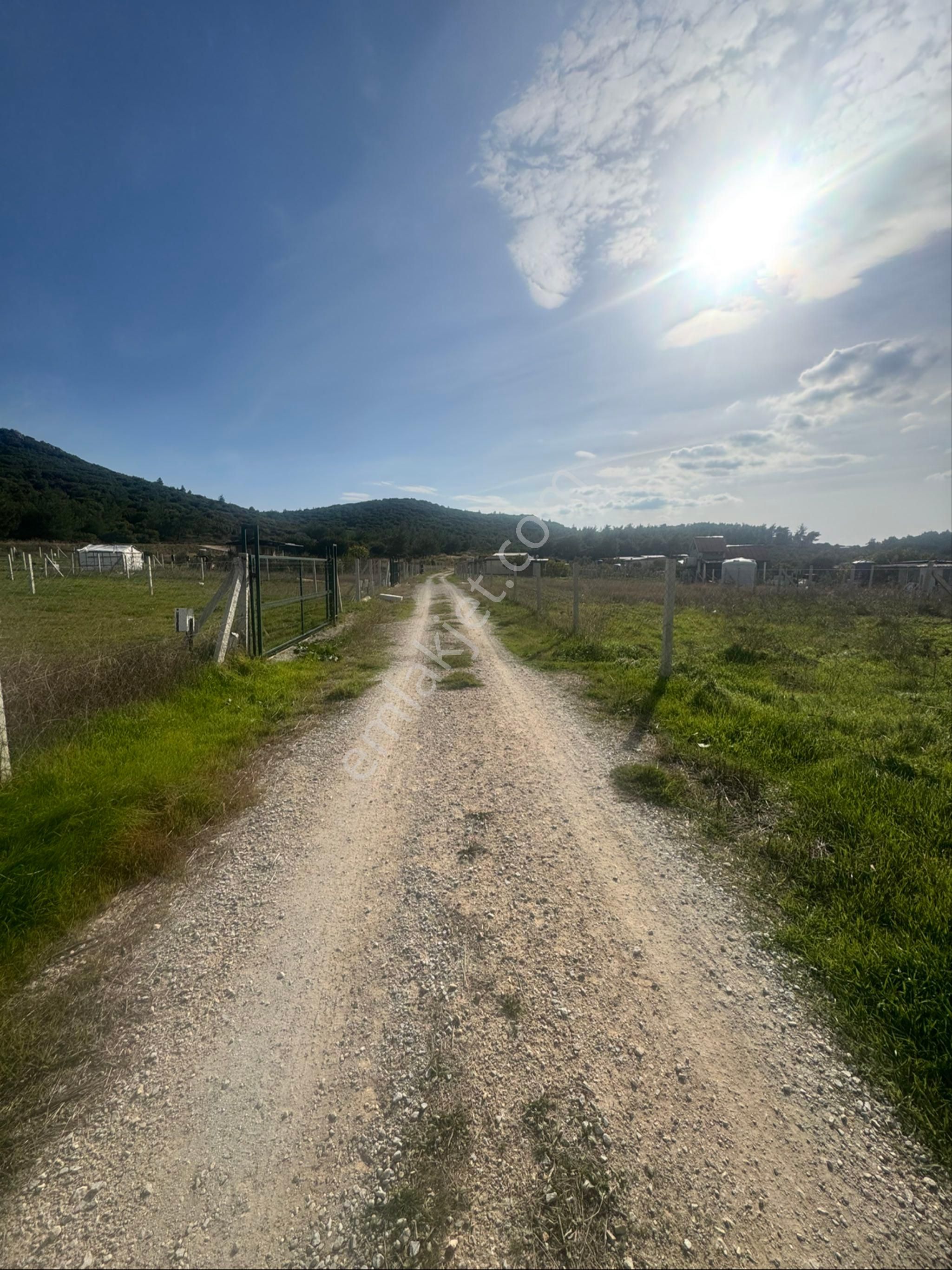 Torbalı Yazıbaşı Köyü Merkeze Yakın 356 M2 Elektrikli Satılık Bahçe - Görsel 7