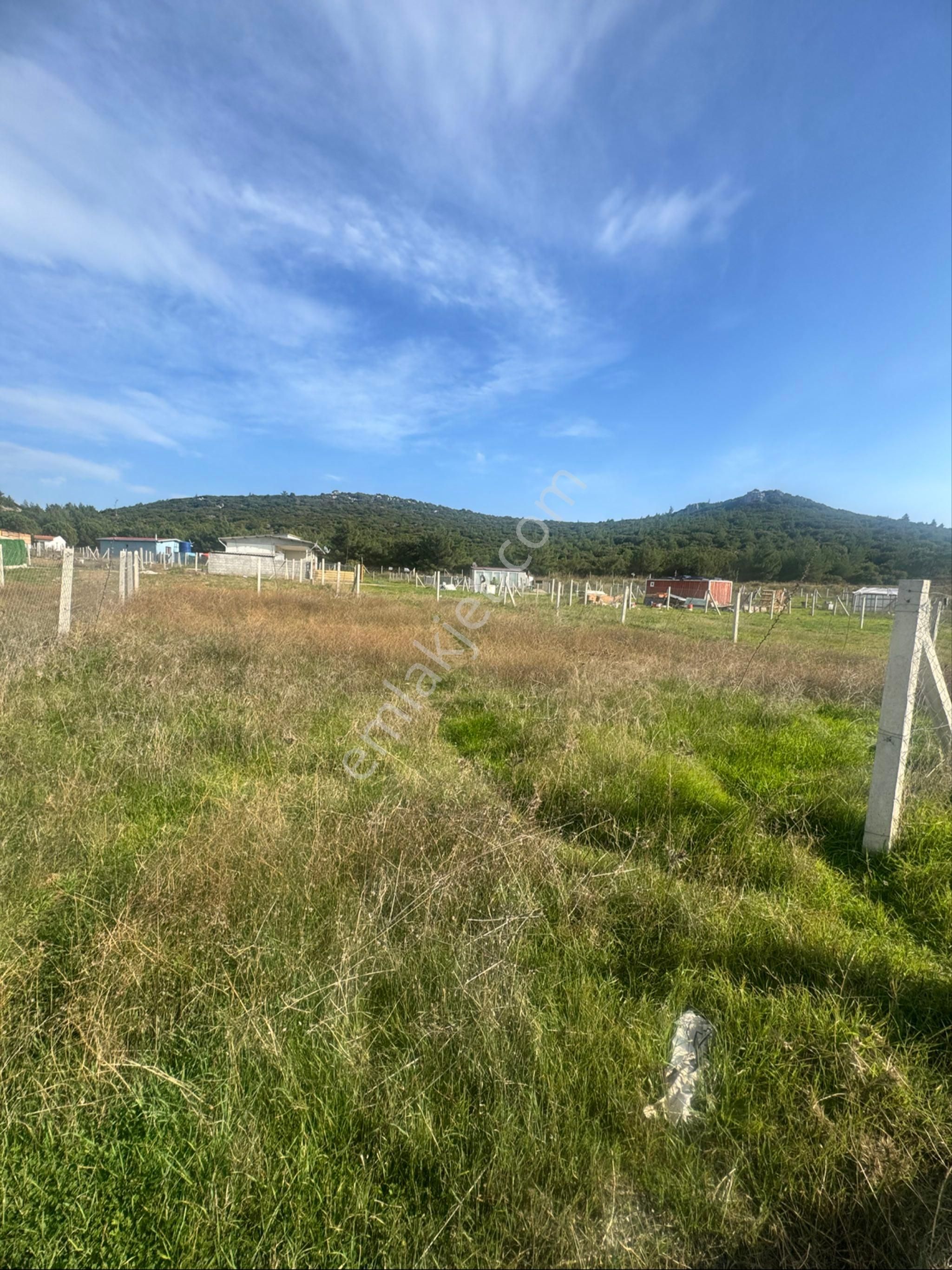 Torbalı Yazıbaşı Köyü Merkeze Yakın 356 M2 Elektrikli Satılık Bahçe - Görsel 2