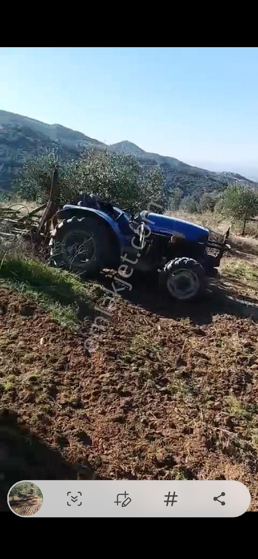 Aydın Nazilli Yöntem Emlaktan Yenipazar Donduran Mahallesinde Satılık Zeytinlik - Görsel 5
