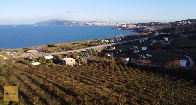 Mayadan Gyo'dan Çalışkanlarda Satılık Arsa - Görsel 7