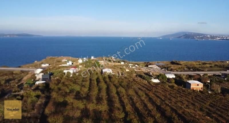 Mayadan Gyo'dan Çalışkanlarda Satılık Arsa - Görsel 3