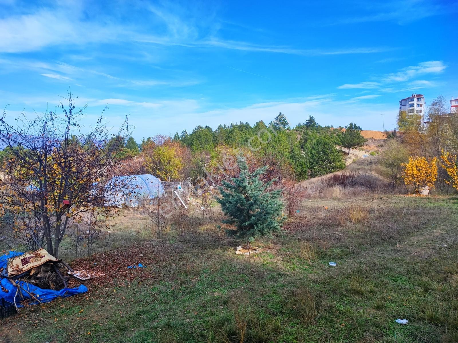 Kastamonu Emlak Gayrimenkul'den Kiralık Toki Konutları 2+1 Daire - Görsel 7
