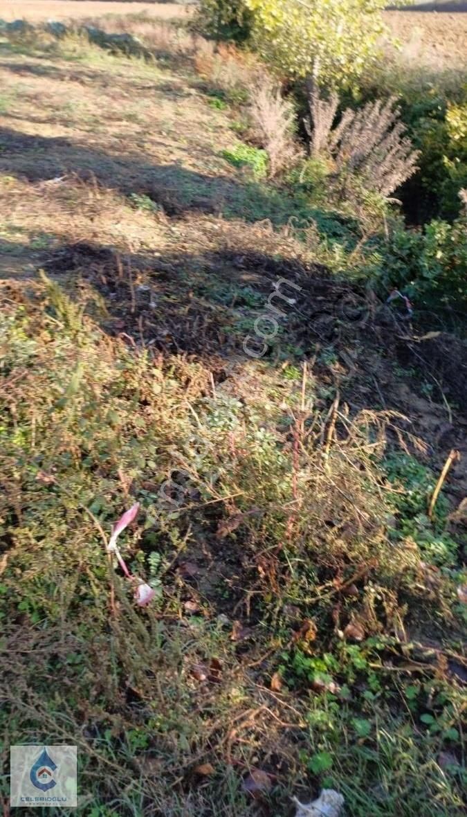 Derince Kaşıkçılar Da 847 M2 Satılık Tarla