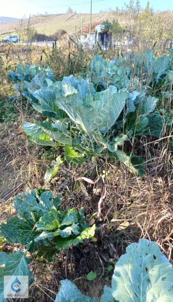 Derince Kaşıkçılar Da 847 M2 Satılık Tarla - Görsel 5