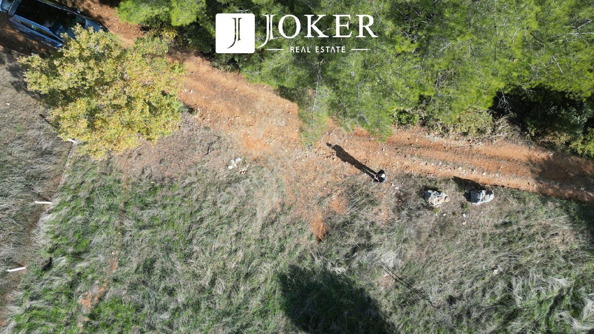 Joker: Yerkesik Yol Cephe Doğa İçinde Akyaka'ya 30 Dakika Tarla - Görsel 5