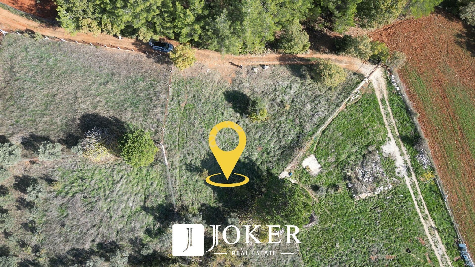 Joker: Yerkesik Yol Cephe Doğa İçinde Akyaka'ya 30 Dakika Tarla - Görsel 20