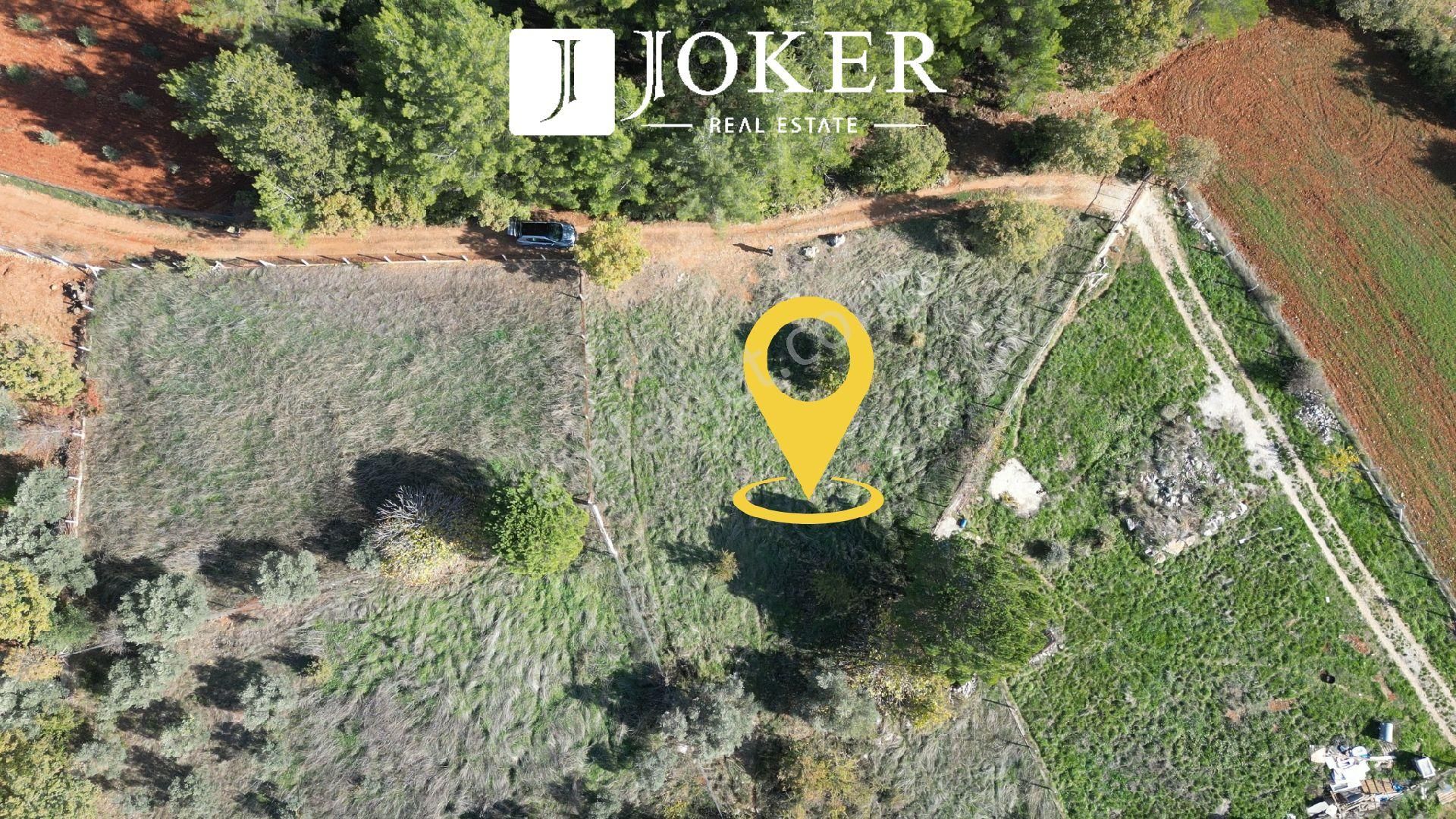 Joker: Yerkesik Yol Cephe Doğa İçinde Akyaka'ya 30 Dakika Tarla - Görsel 7
