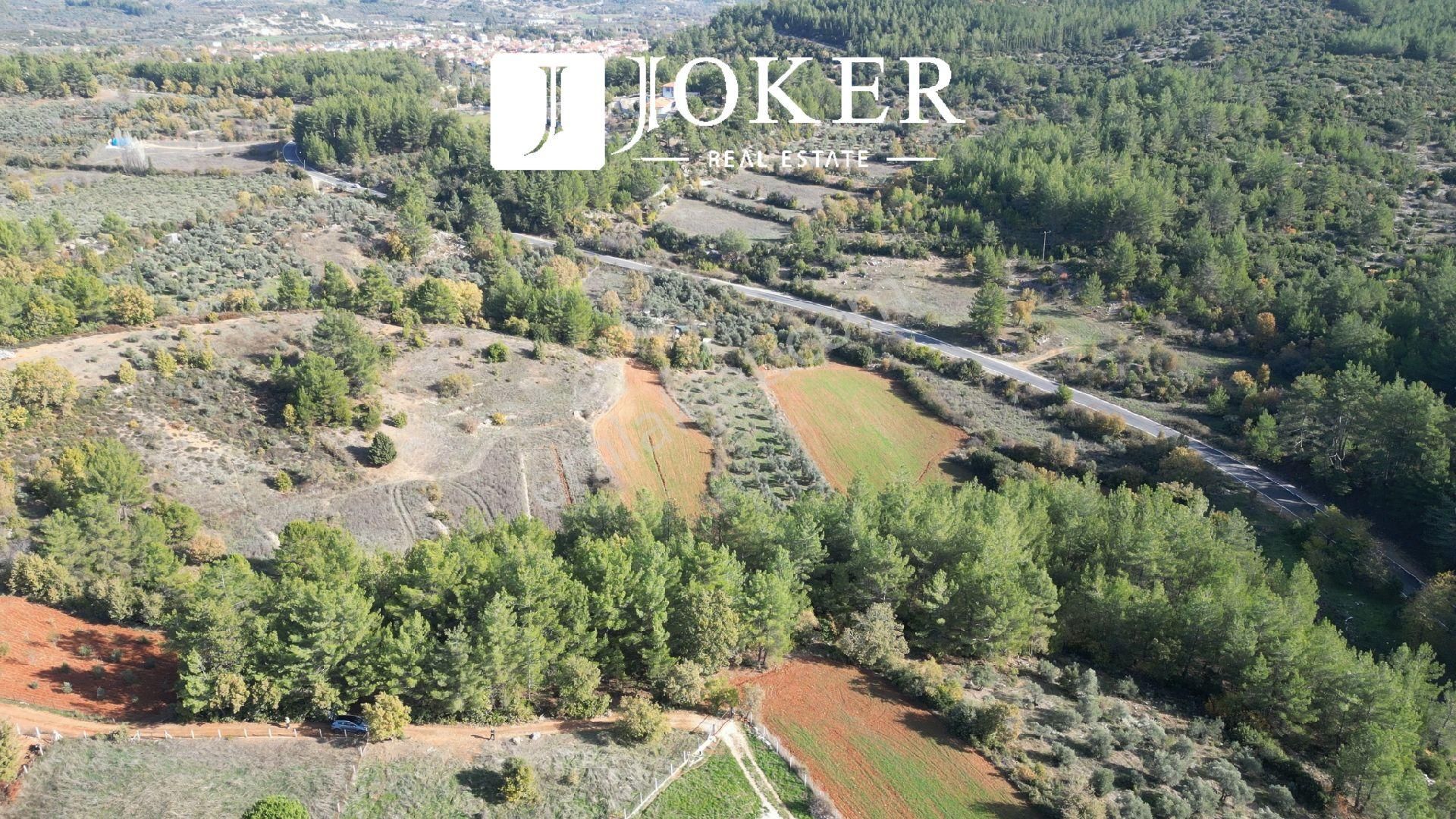 Joker: Yerkesik Yol Cephe Doğa İçinde Akyaka'ya 30 Dakika Tarla - Görsel 16