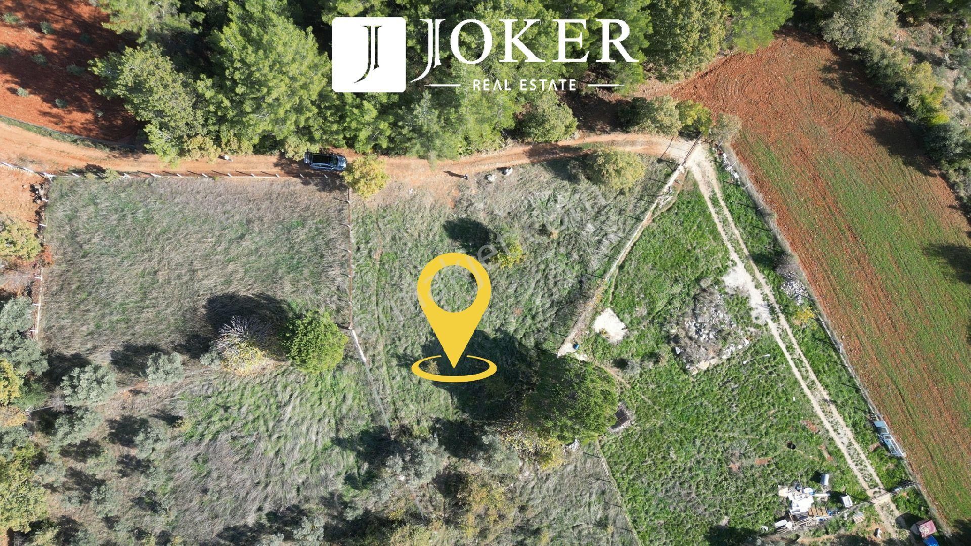 Joker: Yerkesik Yol Cephe Doğa İçinde Akyaka'ya 30 Dakika Tarla - Görsel 3