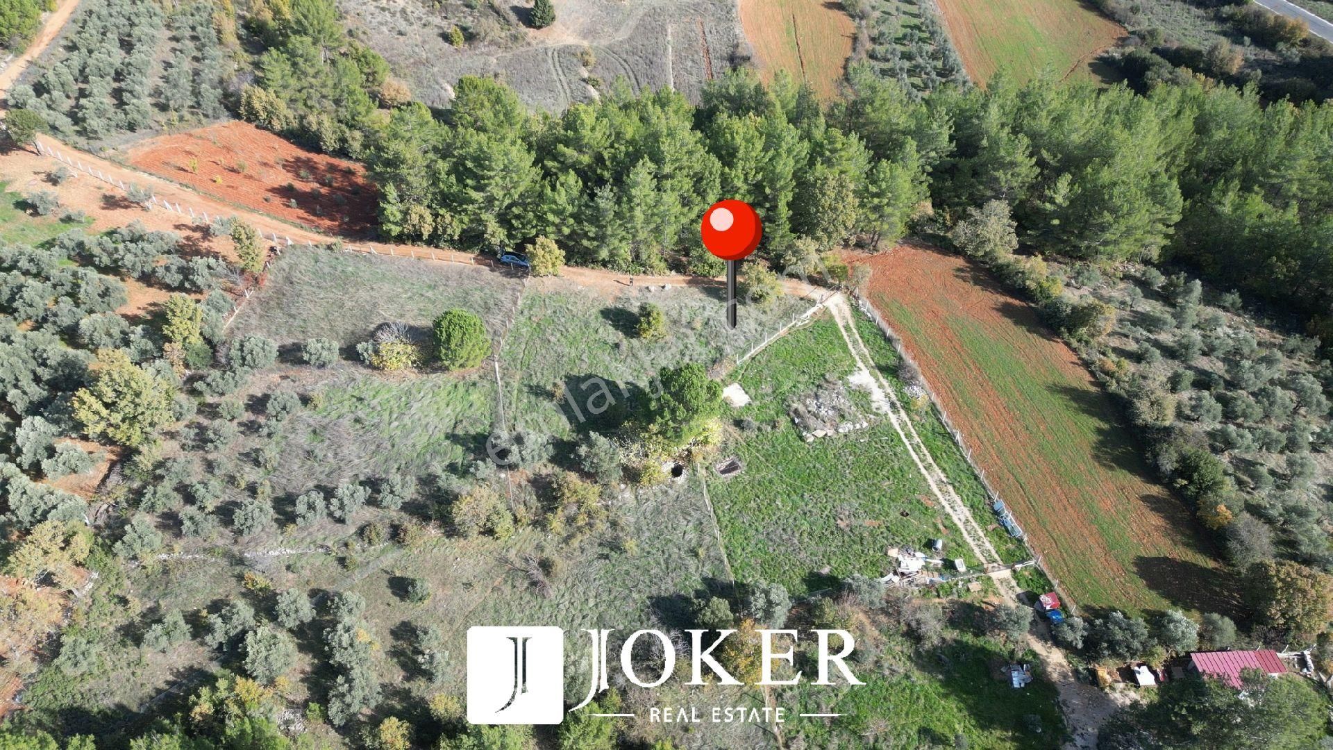 Joker: Yerkesik Yol Cephe Doğa İçinde Akyaka'ya 30 Dakika Tarla - Görsel 2