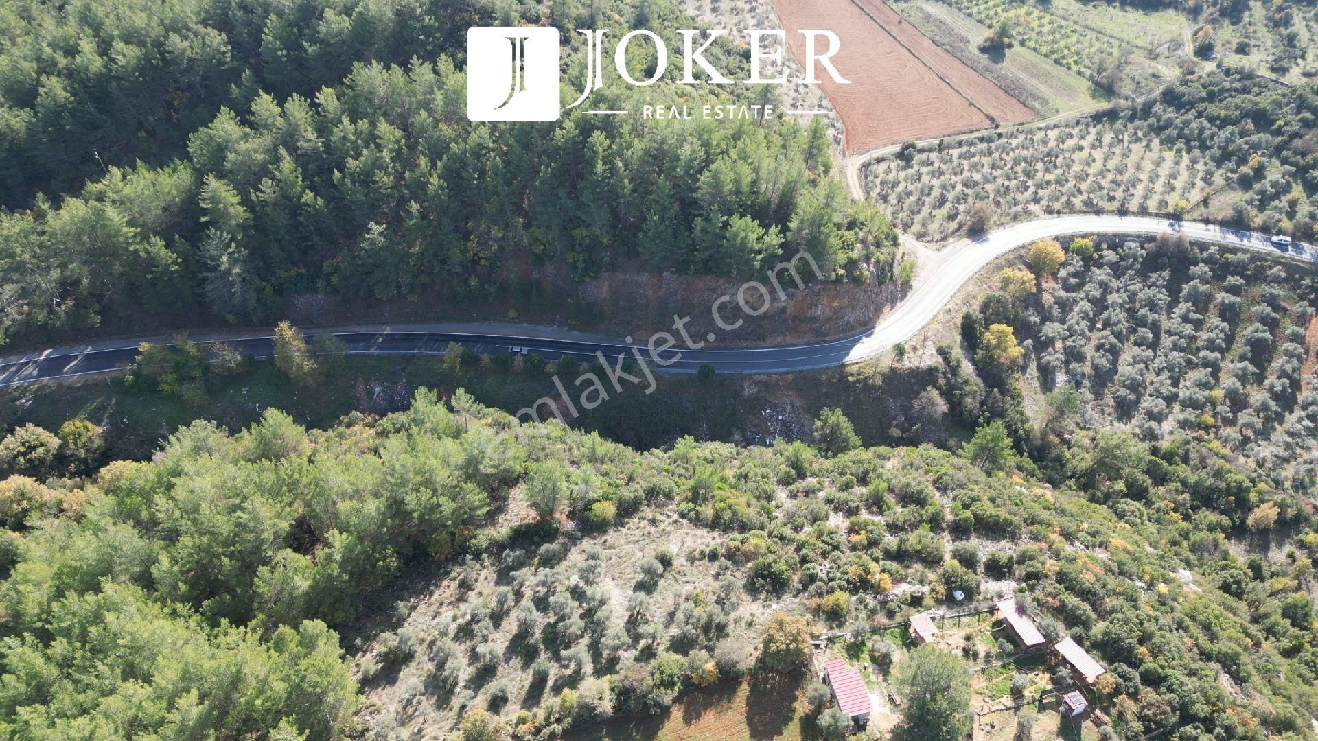 Joker: Yerkesik Yol Cephe Doğa İçinde Akyaka'ya 30 Dakika Tarla - Görsel 18