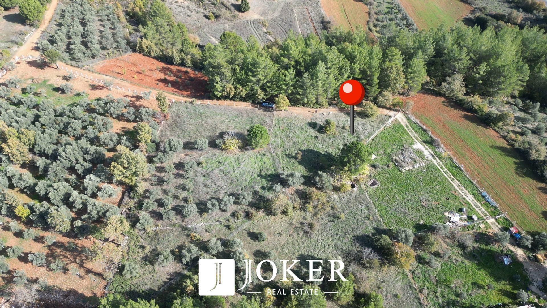 Joker: Yerkesik Yol Cephe Doğa İçinde Akyaka'ya 30 Dakika Tarla - Görsel 15