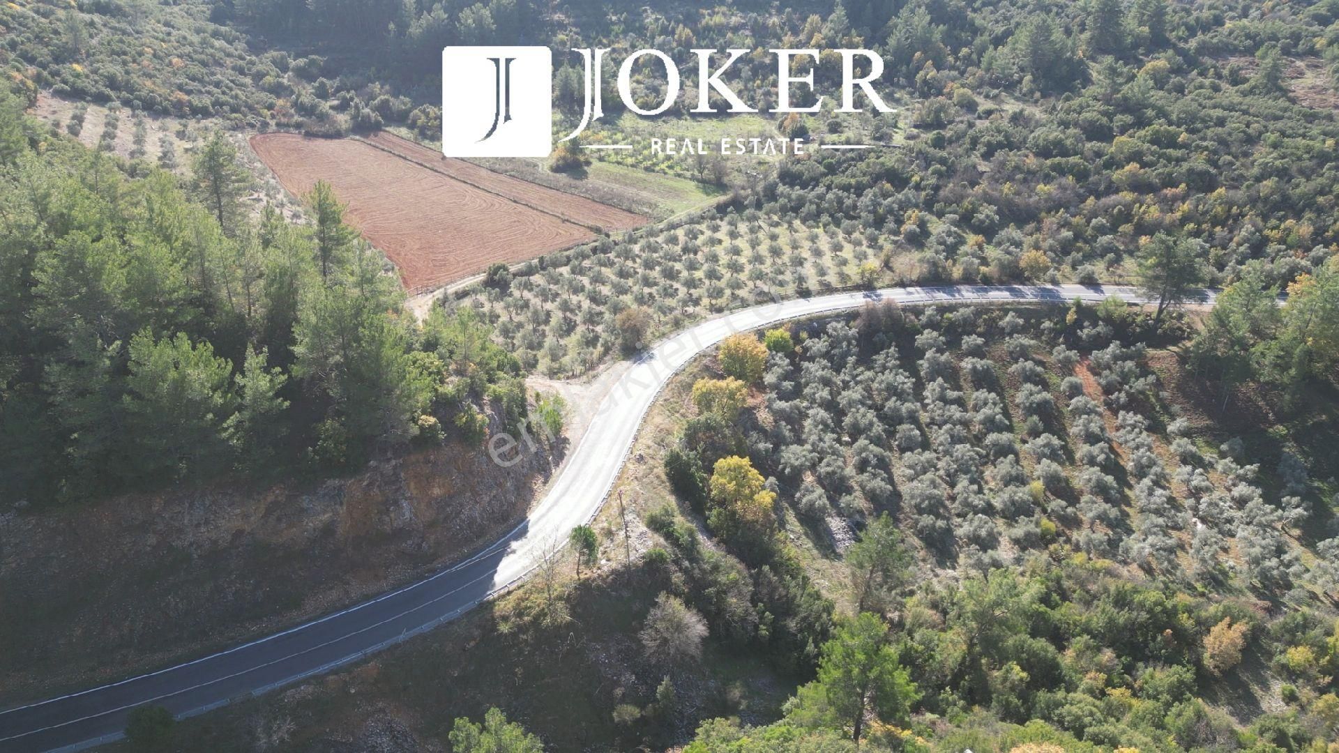 Joker: Yerkesik Yol Cephe Doğa İçinde Akyaka'ya 30 Dakika Tarla - Görsel 13