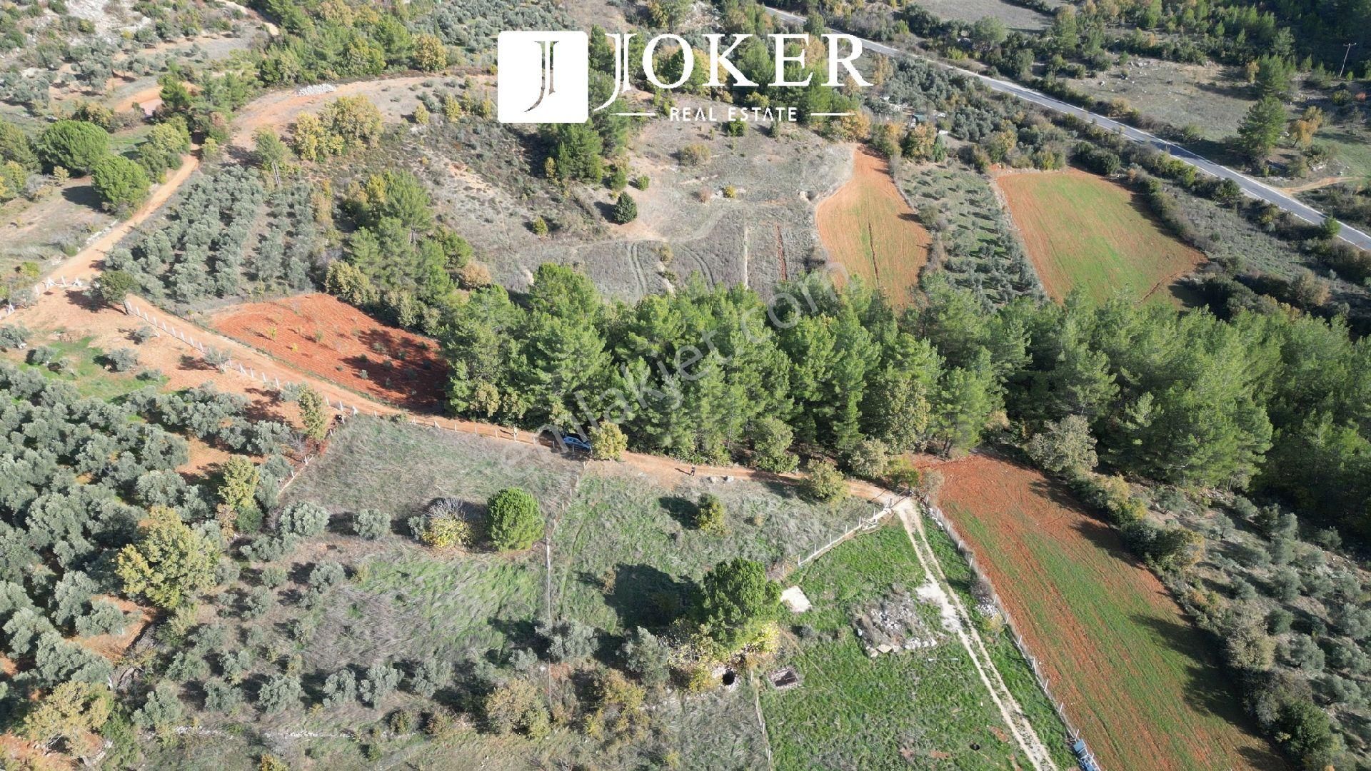 Joker: Yerkesik Yol Cephe Doğa İçinde Akyaka'ya 30 Dakika Tarla - Görsel 19
