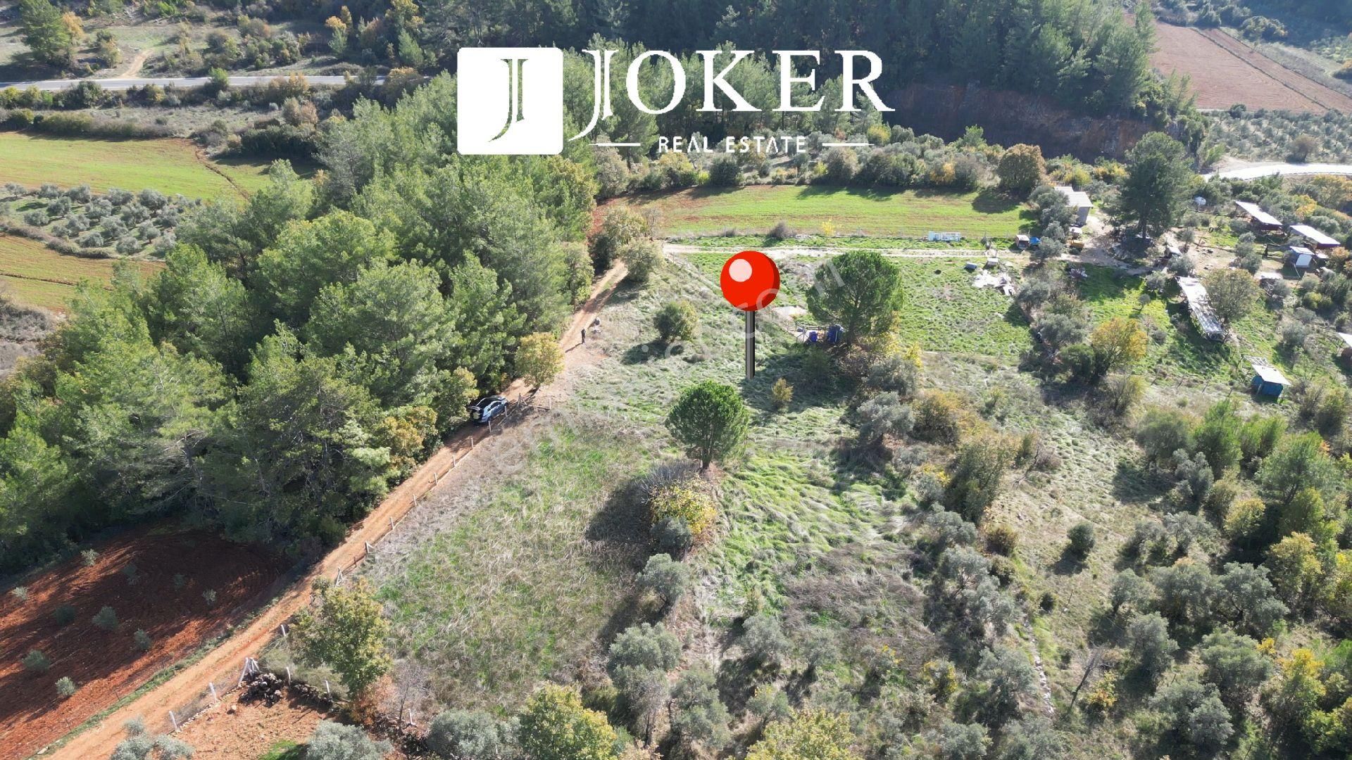 Joker: Yerkesik Yol Cephe Doğa İçinde Akyaka'ya 30 Dakika Tarla - Görsel 11