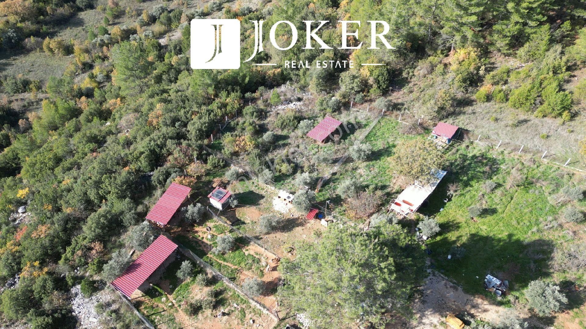 Joker: Yerkesik Yol Cephe Doğa İçinde Akyaka'ya 30 Dakika Tarla - Görsel 9
