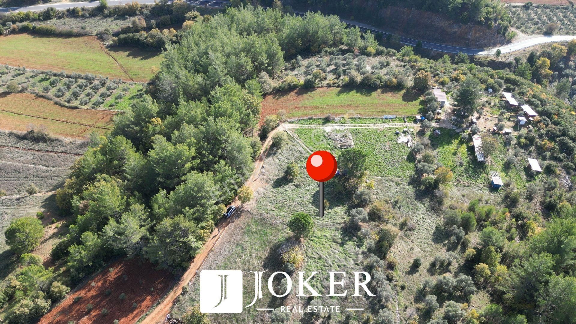 Joker: Yerkesik Yol Cephe Doğa İçinde Akyaka'ya 30 Dakika Tarla - Görsel 14