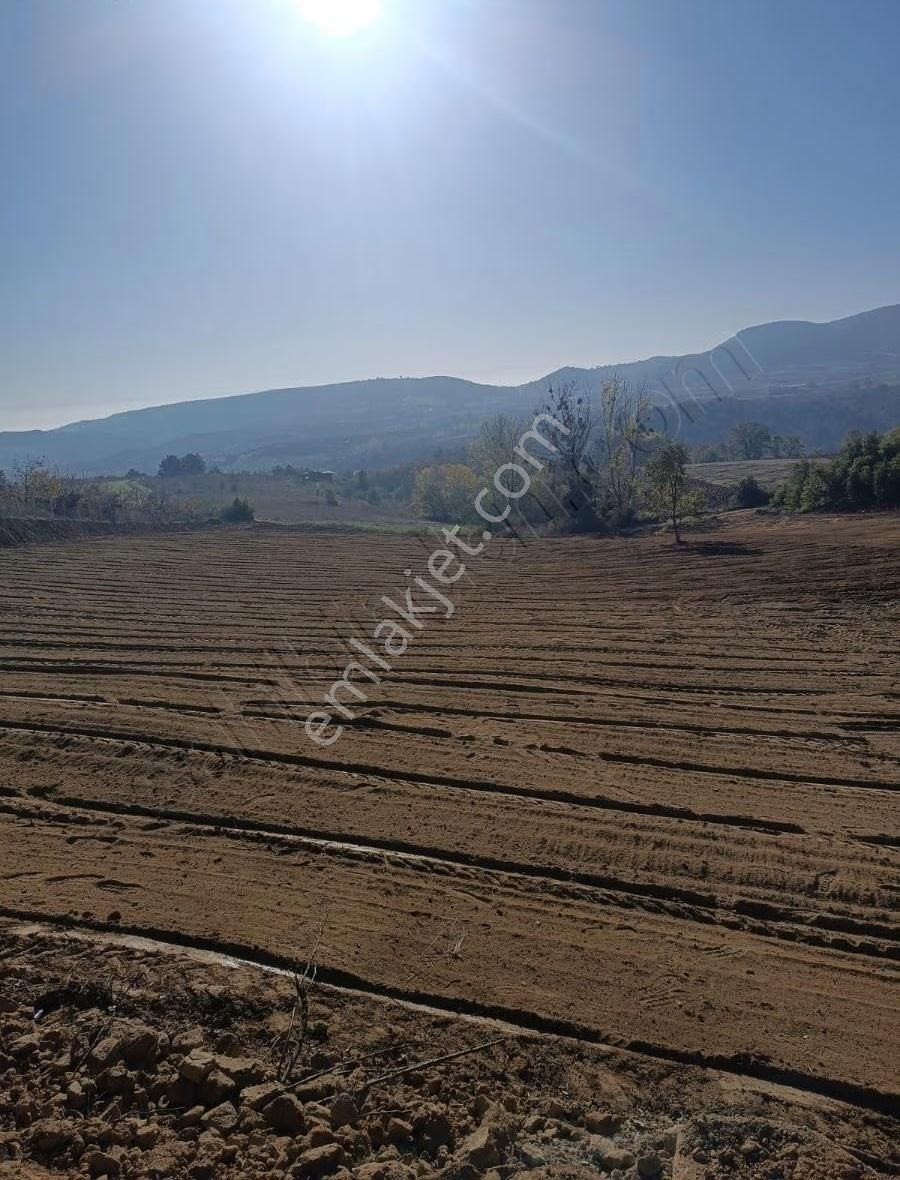 İpekyolu Yapı Emlak'tan Satılık - Görsel 7