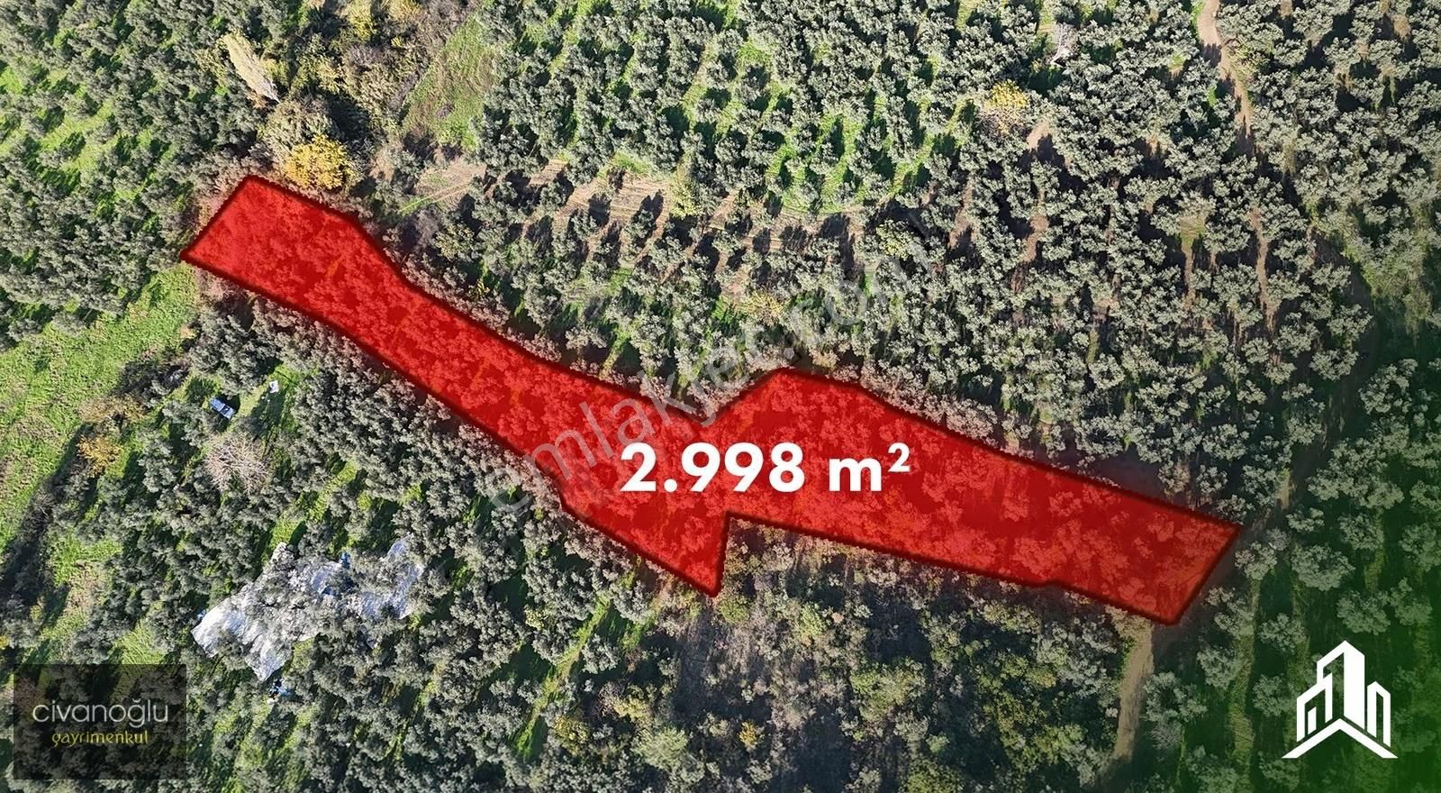 Mudanya Talatbey'de 2.998,73m² Zeytinlik - Görsel 5