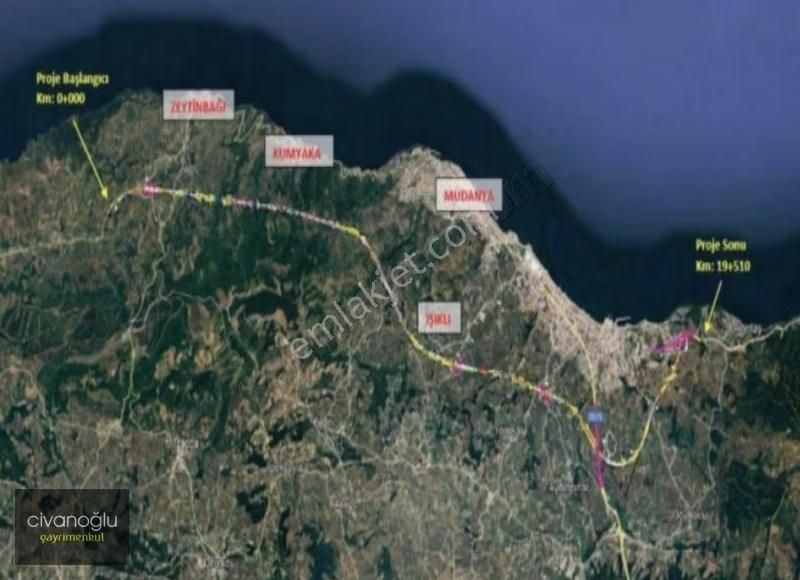 Mudanya Talatbey'de 2.998,73m² Zeytinlik