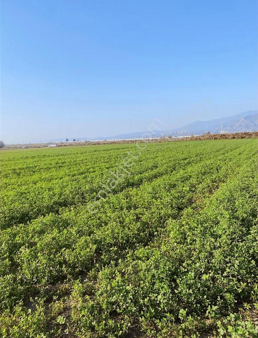 Otoban Kenarı Fırsat - Görsel 3