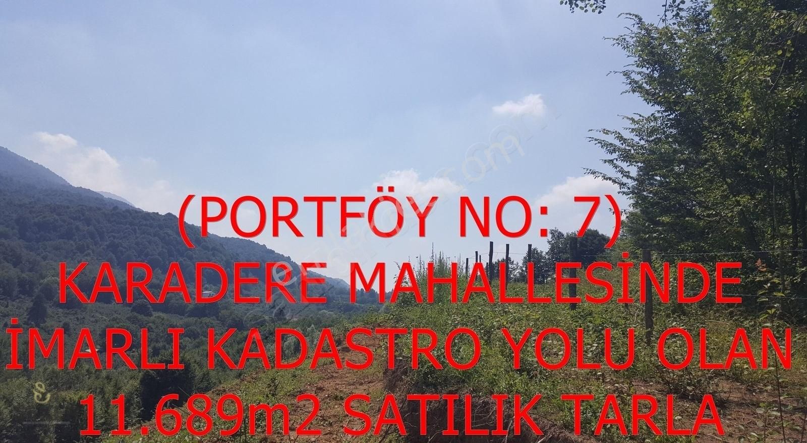 7- Karadere Mah. 11.689m2 İmarlı Satılık Fındık Bahçesi