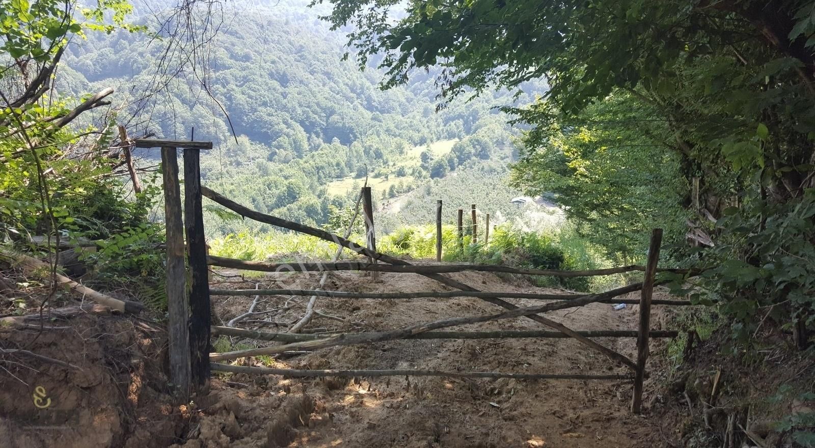 7- Karadere Mah. 11.689m2 İmarlı Satılık Fındık Bahçesi - Görsel 4