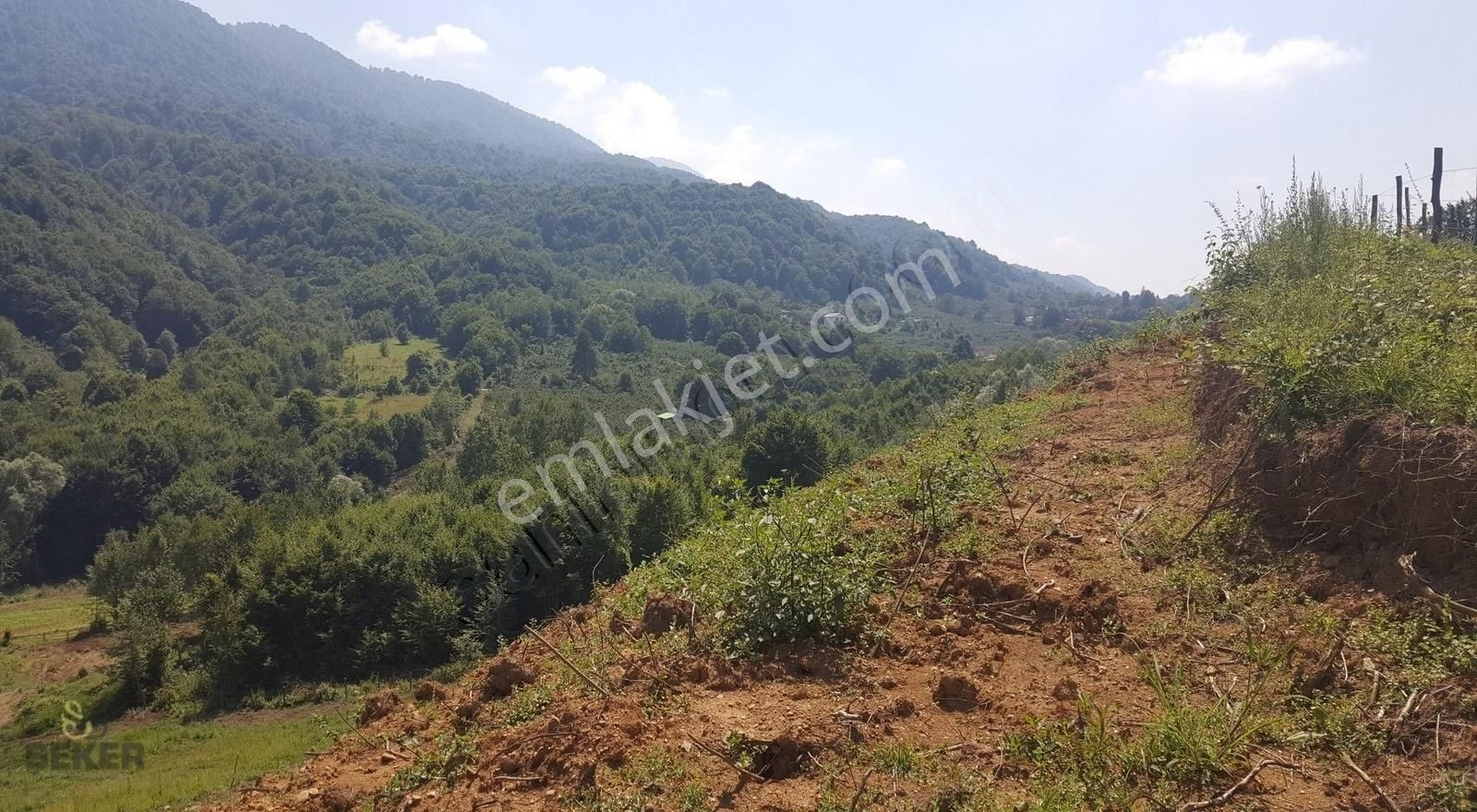 7- Karadere Mah. 11.689m2 İmarlı Satılık Fındık Bahçesi - Görsel 21