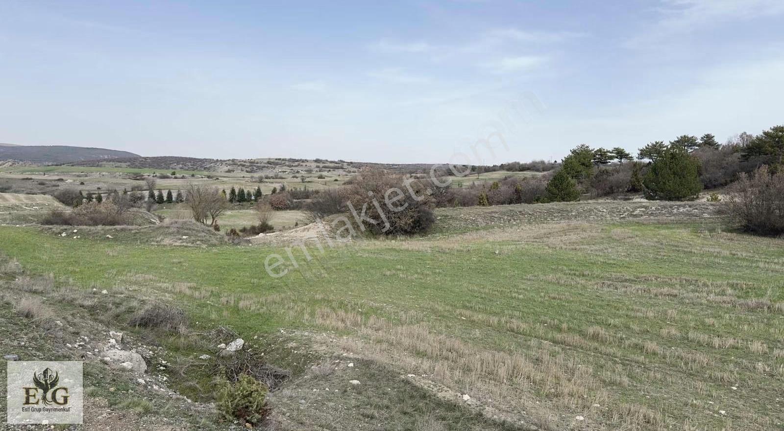 Kütahya Çevre Yolu Yakını Satılık Tarla - 1983 M² - Görsel 4