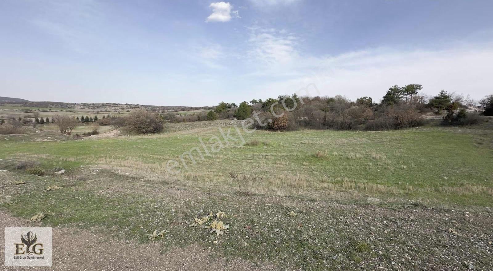 Kütahya Çevre Yolu Yakını Satılık Tarla - 1983 M² - Görsel 7