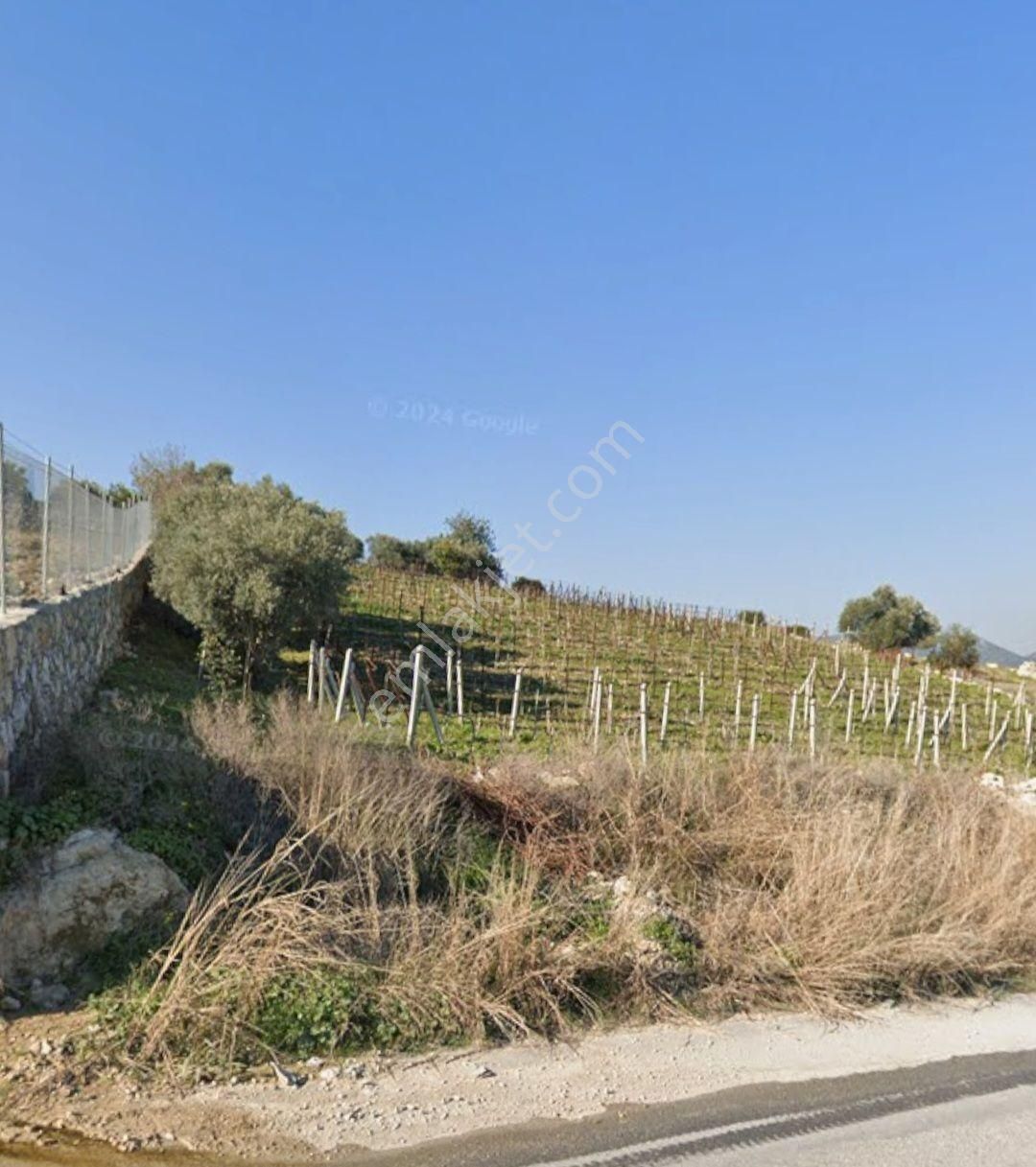 📌🌿 Akdeniz Camili Mahallesi Ana Yol Cepheli 3.600 M² Üzüm Bağı Satılıktır 🌿📌 - Görsel 8