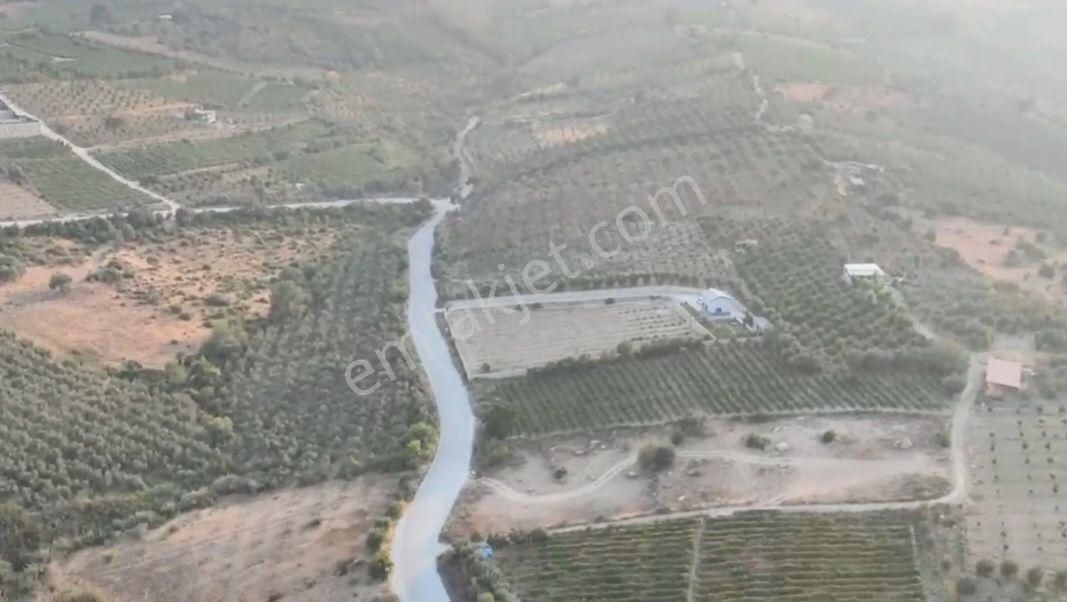 📌🌿 Akdeniz Camili Mahallesi Ana Yol Cepheli 3.600 M² Üzüm Bağı Satılıktır 🌿📌 - Görsel 2