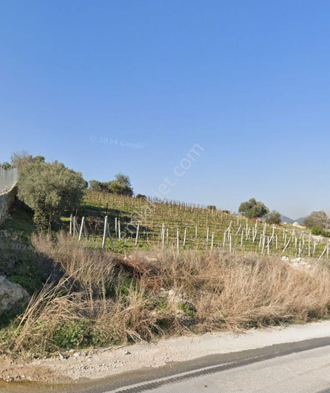 📌🌿 Akdeniz Camili Mahallesi Ana Yol Cepheli 3.600 M² Üzüm Bağı Satılıktır 🌿📌 - Görsel 5