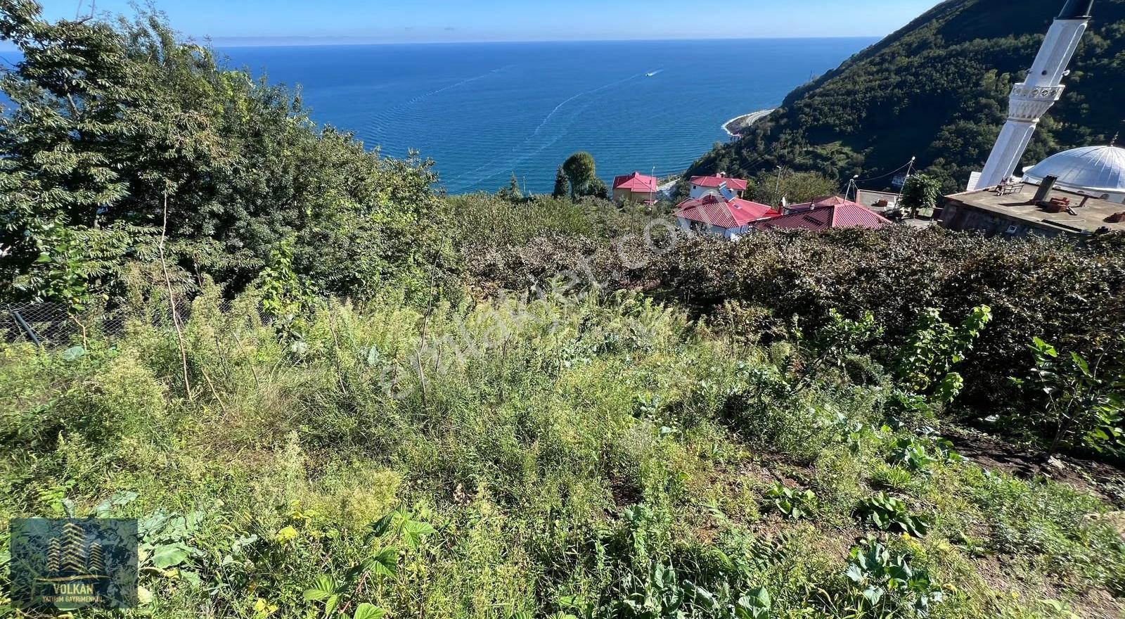 Açık Otoparklı Deniz Manzaralı Müstakil Bahçeli Villa - Görsel 14