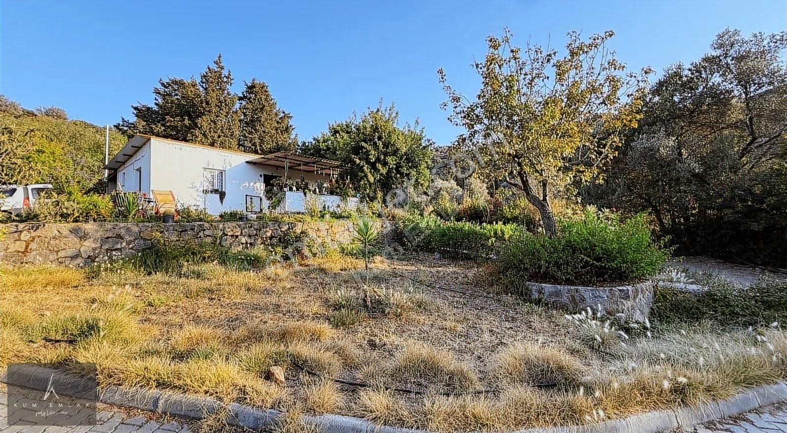 Yalıkavak'ta 6231m2 Çiftlik Ve 5 Parselde Toplam 34.688m2 Arazi - Görsel 2