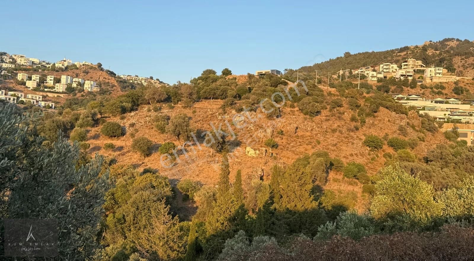 Yalıkavak'ta 6231m2 Çiftlik Ve 5 Parselde Toplam 34.688m2 Arazi - Görsel 4