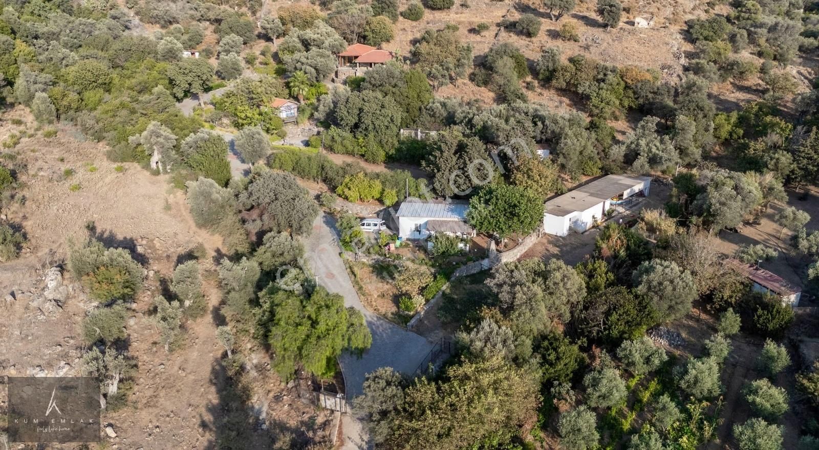 Yalıkavak'ta 6231m2 Çiftlik Ve 5 Parselde Toplam 34.688m2 Arazi - Görsel 11