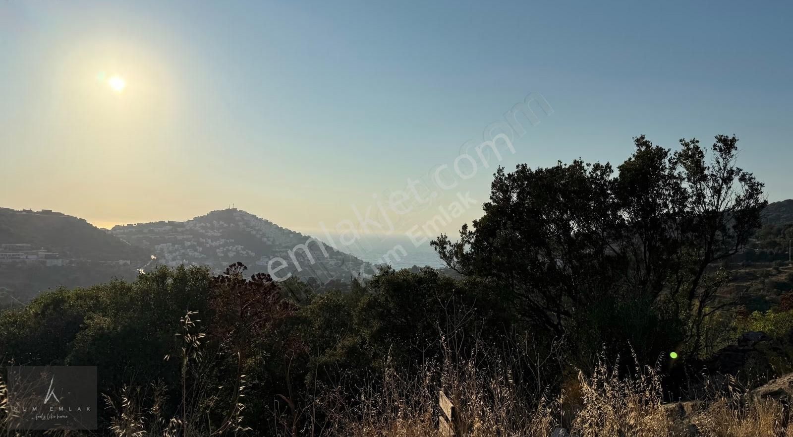 Yalıkavak'ta 6231m2 Çiftlik Ve 5 Parselde Toplam 34.688m2 Arazi - Görsel 33