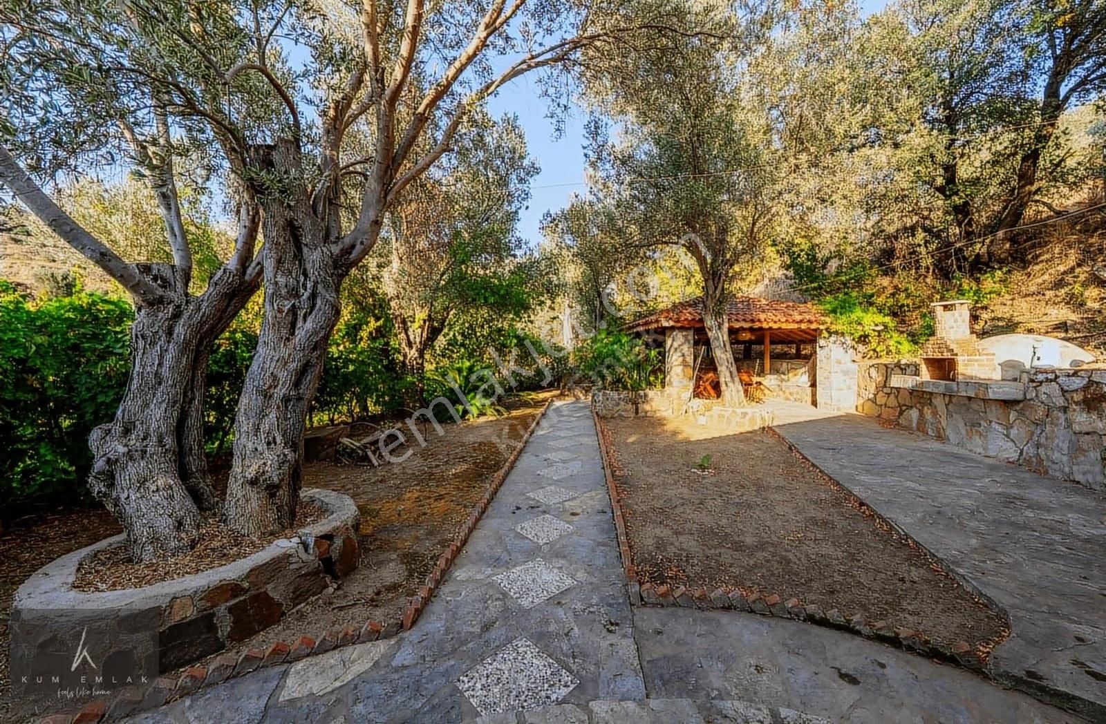 Yalıkavak'ta 6231m2 Çiftlik Ve 5 Parselde Toplam 34.688m2 Arazi - Görsel 25