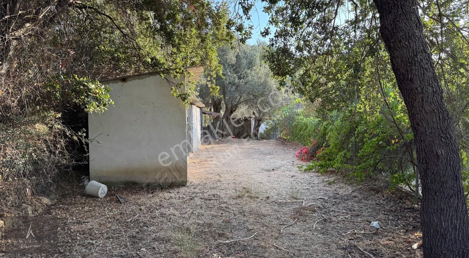 Yalıkavak'ta 6231m2 Çiftlik Ve 5 Parselde Toplam 34.688m2 Arazi - Görsel 26