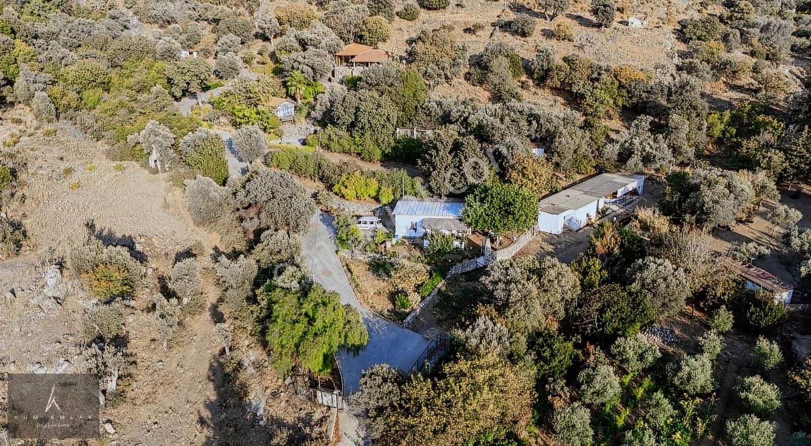 Yalıkavak'ta 6231m2 Çiftlik Ve 5 Parselde Toplam 34.688m2 Arazi - Görsel 7